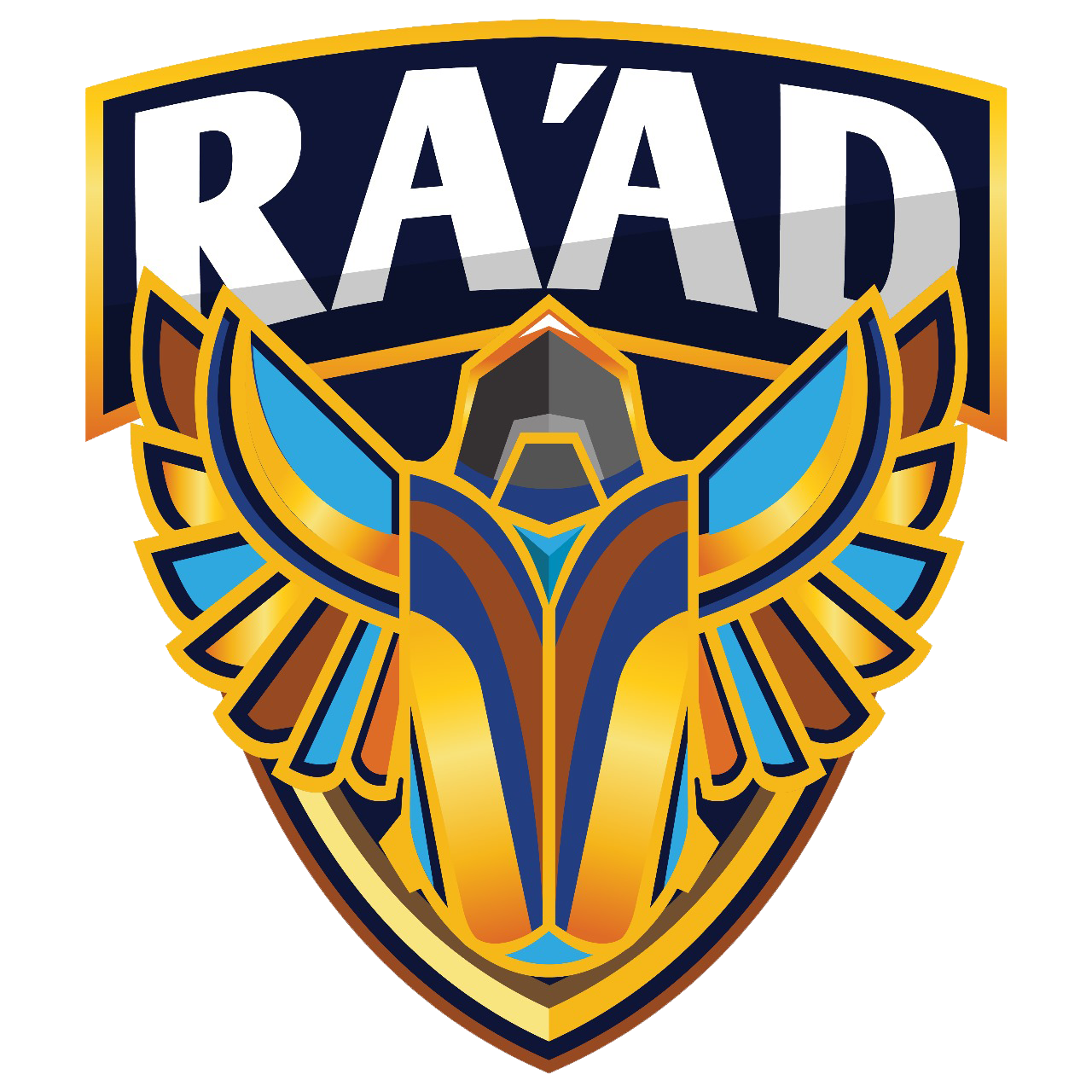 TEAM RAAD